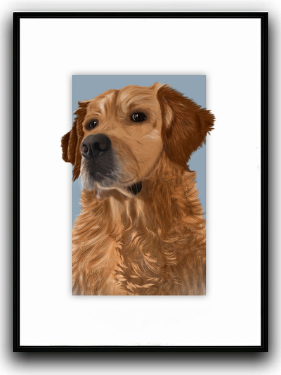 Hera dog dog portrait draw drawing god drawing golden golden retriever paint pet pet portrait portrait