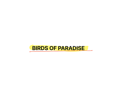 Birds of Paradise (Conceptual Clothing Brand) clothing design colour theory creative direction design fashion graphic design illustration