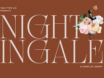 TAN - NIGHTINGALE art deco art deco font elegant font elegant serif luxury font retro retro font serif display serif font serif typeface vintage font vintage logo vintage serif vintage serif font