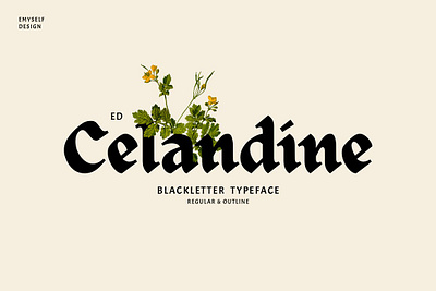 ED Celandine Typeface branding calligraphy classy display font ed celandine typeface elegant font fancy fonts fraktur logo font luxury font modern font old font outline font retro typeface vintage