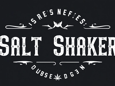 Salt Shaker font design font font sans serif graphic design logo