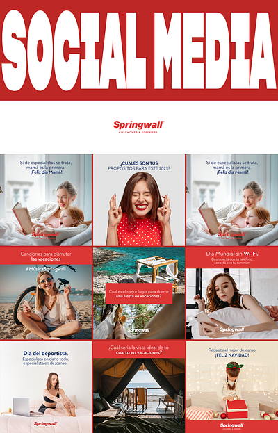 Springwall | Social media flow graphic design motion graphics social media video