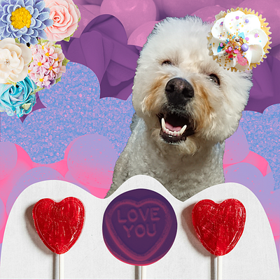 Sweet dog candy collage design dog photoshop