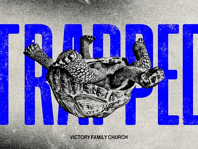 Trapped Sermon Series christian church churchgraphics design faith god graphic design illustration sermonseries texture trapped turtle