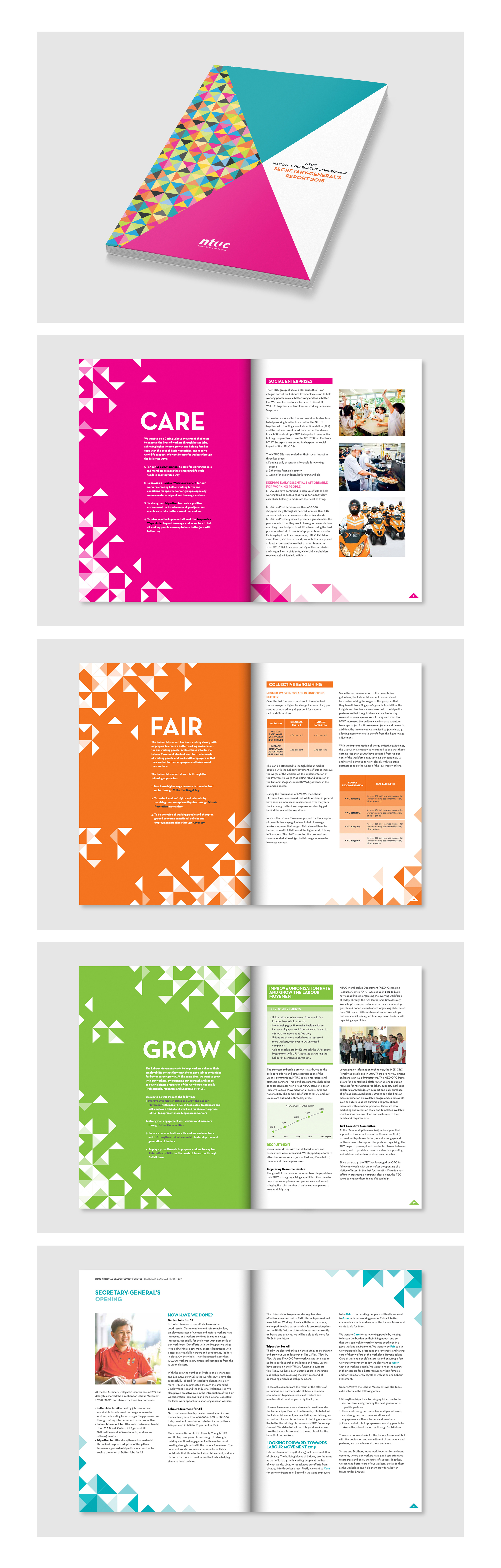 National Delegates' Conference (Secretary-General's Report) 2015 book design graphic design publication