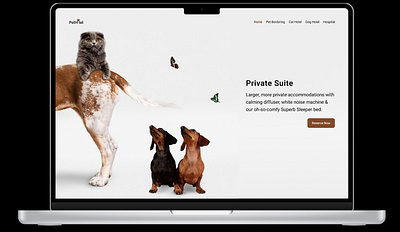 Pet Hotel Web UI Design ui design