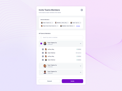 Invite Team Members admin panel dashboard filter interaction design invite team popup product design ui ui design user interface users ux ux design