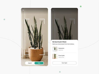 Houseplant ID App - Ui Design app app design clean ui design houseplant interface design mobile mobile app plant plant app plant ui product product design ui ui design user experience user interface ux ux design