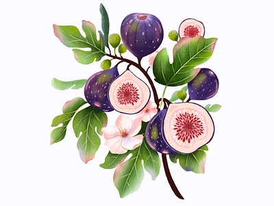 Fig tree art book cover botanical colorfull digital art fig tree figs floral fruit illustration fruits illustration kids kitchen art modern art poster procreate purple spring summer summer illustration