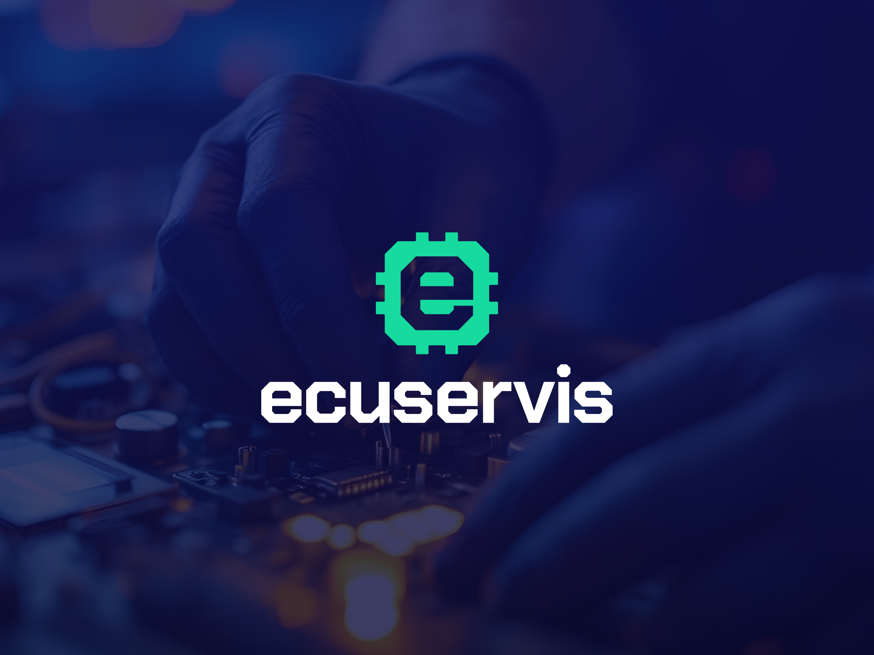 Example of ECUservis