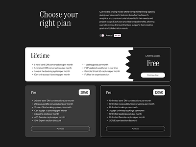 Pricing app grayscale landing page minimalist monochrome pricing ui ux web design website