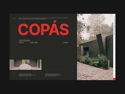 Copas // / animation landing product productdesign ui web webdesign webpage website