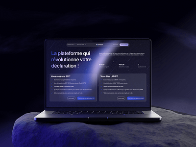 Tax Declaration Website - Decla designexploration financialapp interactiondesign interfacedesign ui uiuxdesign userexperience userinterface webdesign