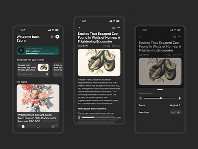 Reader App app design minimal minimalist reader ui ux