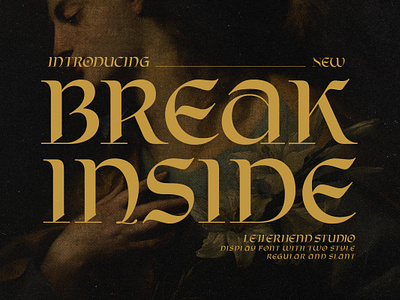 Break Inside Display Font freebies serif font sophisticated font