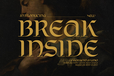 Break Inside Display Font freebies serif font sophisticated font