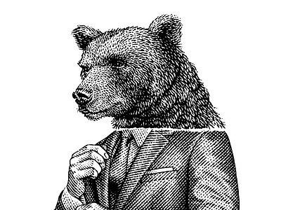 Bear animal black and white engraving illustration scratchboard woodcut