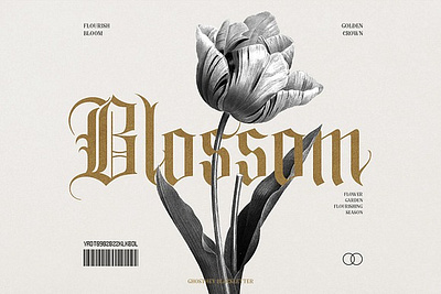 Ghosthey Typeface Font beer font blackletter font calligraphy font classic font display font ghosthey typeface ghosthey typeface font gothic font medieval font metal font old english font old font tattoo font victorian font vintage font whiskey font wine font