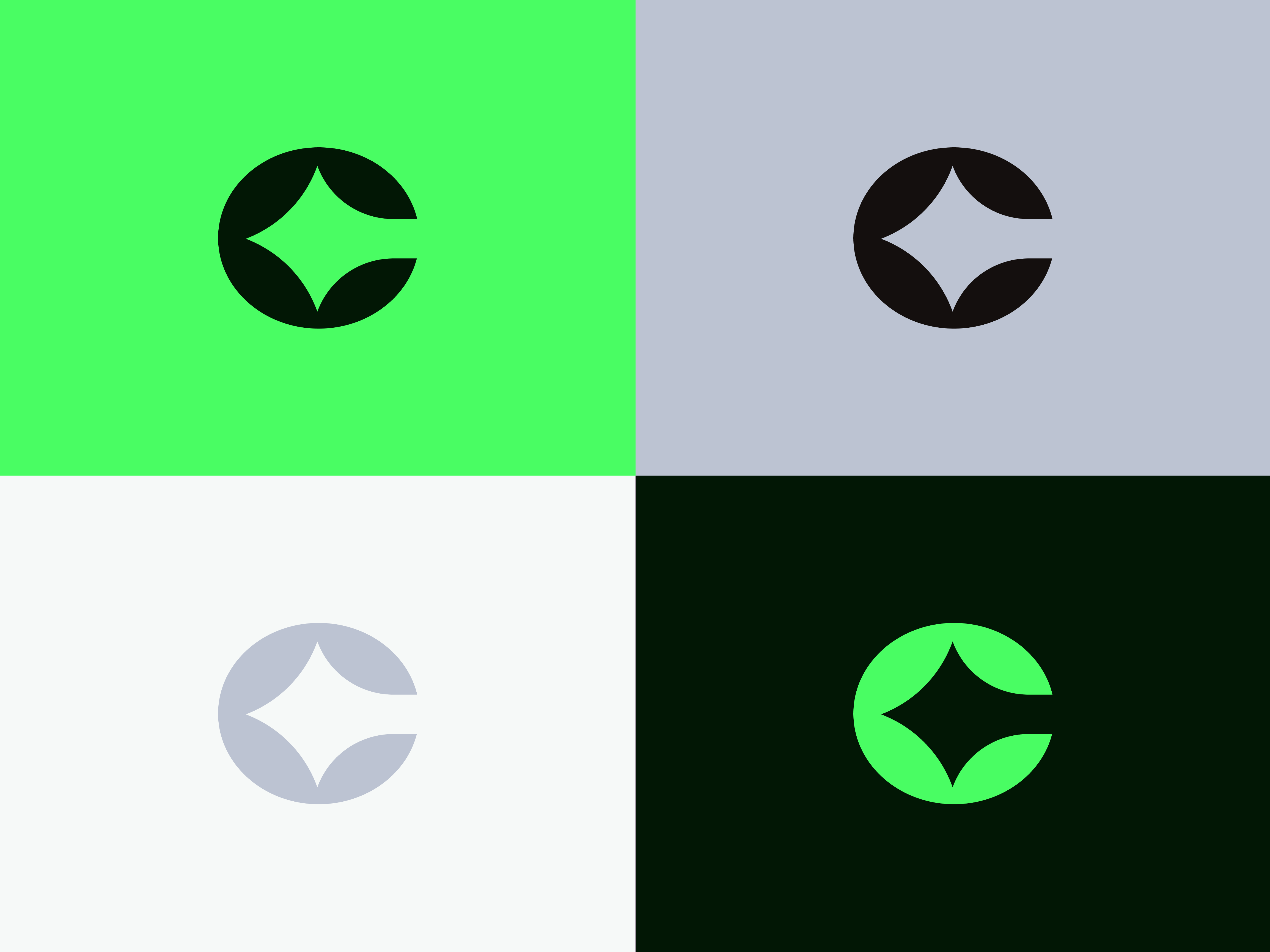 Example of Logo Guideline Design