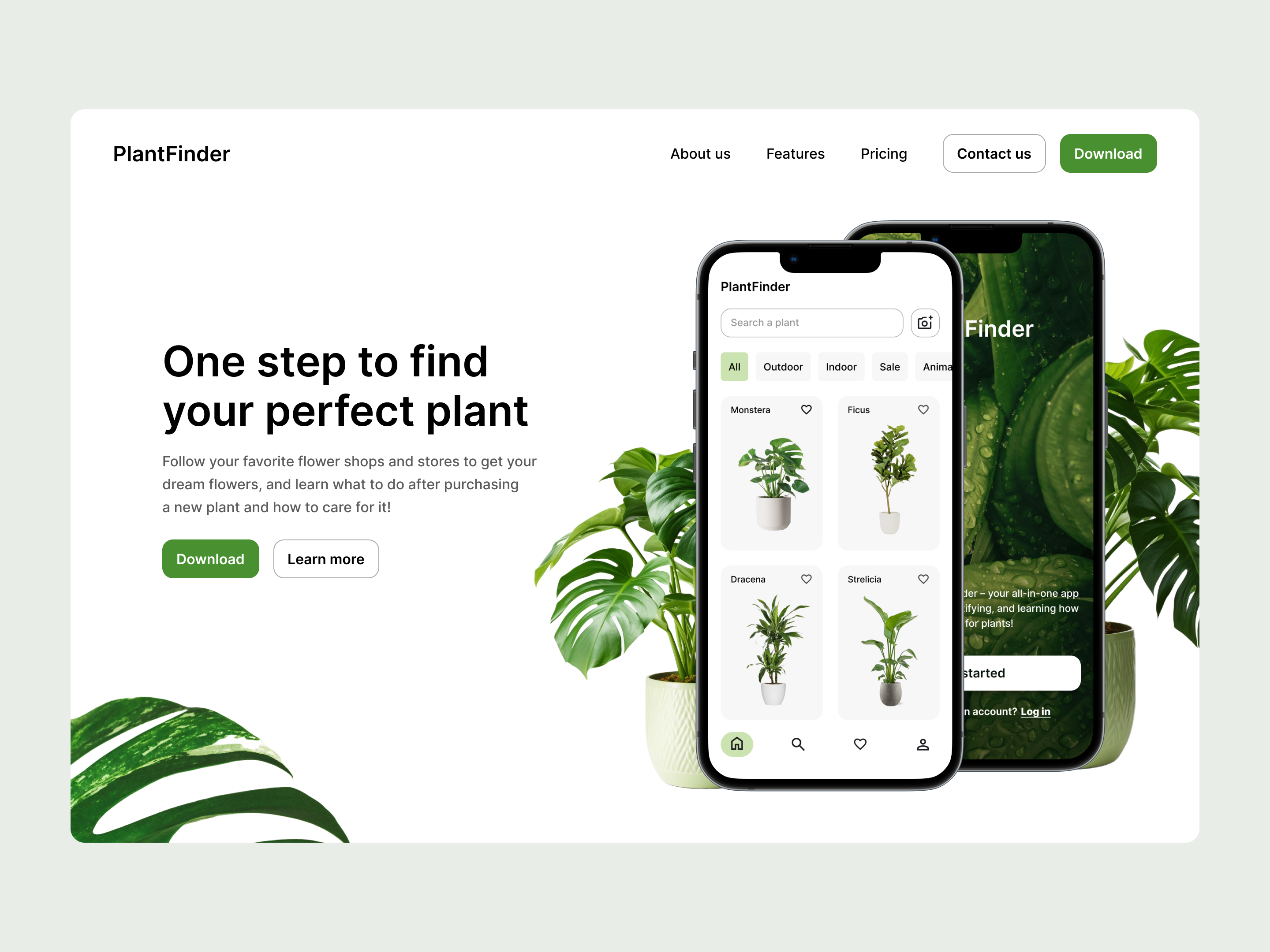 PlantFinder - Landing Page branding clean design graphic design green grid landing page minimalistic ui web web design