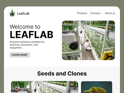Cannabis - Website Design cannabis ui ui design uiux ux web designing website website design