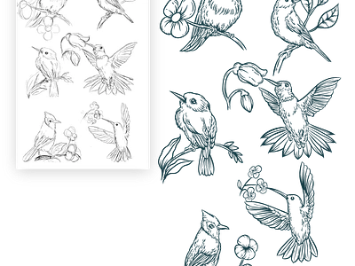 Bird hand-drawn vector drawing graphic design illustrations vector vintage