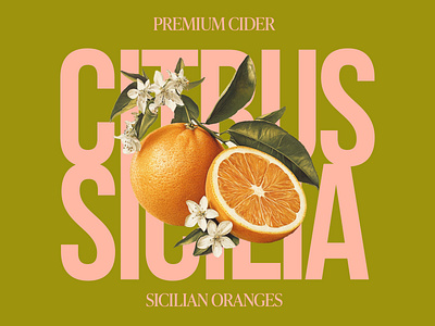 Citrus di Sicilia | Design by Ayelet art artwork branding design digital art digital illustration graphic design illustration logo packaging ui