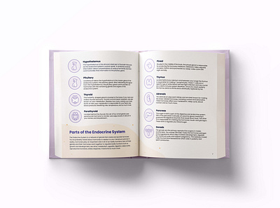 Menstrual Journey Book Spread Design