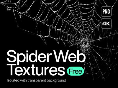 Free Spider Web Textures background dark download free free texture free textures freebie freebies hack halloween horror overlay spider spiderweb spooky texture