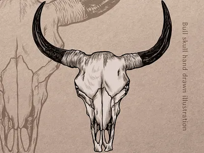 Vintage bull skull illustration artwok artwork brand identity branding bull drawing hand drawn illustration key visual label label design line art logo logotype mascot retro skull vector illustration vintage vintage illustration