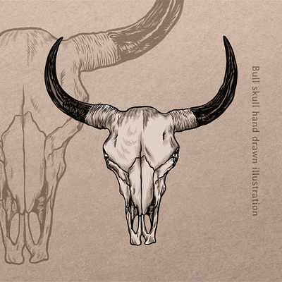 Vintage bull skull illustration artwok artwork brand identity branding bull drawing hand drawn illustration key visual label label design line art logo logotype mascot retro skull vector illustration vintage vintage illustration