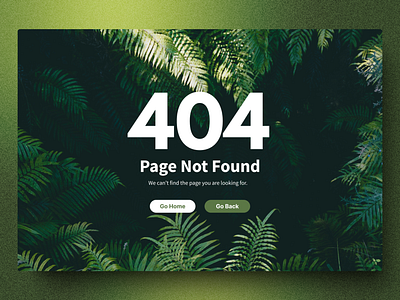 008 | 404 Page 404 page dailyui design desktop edge case error page product design ui ux web web design