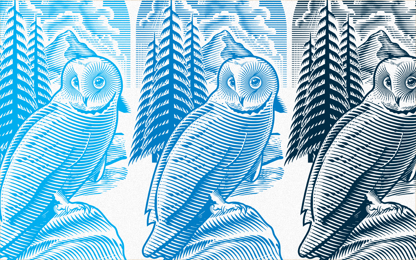 Grey Owl Illustration branding canadian illustrator digital engraving engraving graphic design illustration illustrator ken james line art logo owl illustration