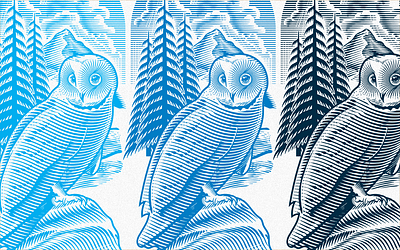 Grey Owl Illustration branding canadian illustrator digital engraving engraving graphic design illustration illustrator ken james line art logo owl illustration