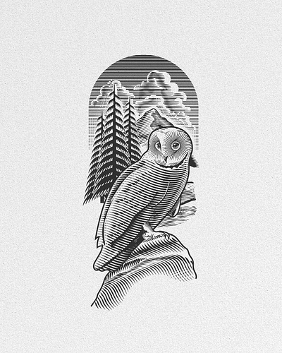 Grey Owl Illustration branding canadian illustrator digital engraving engraving graphic design illustration illustrator ken james line art logo owl illustration