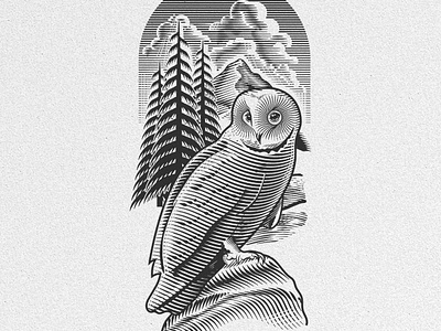 Grey Owl Illustration branding canadian illustrator digital engraving engraving graphic design illustration illustrator ken james line art logo owl illustration