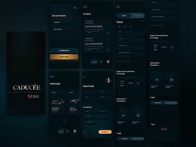 Caduce | Private Driver Booking App app appdesign booking concept driverapp mobile mobileapp taxi uber ui uidesign ux uxdesign