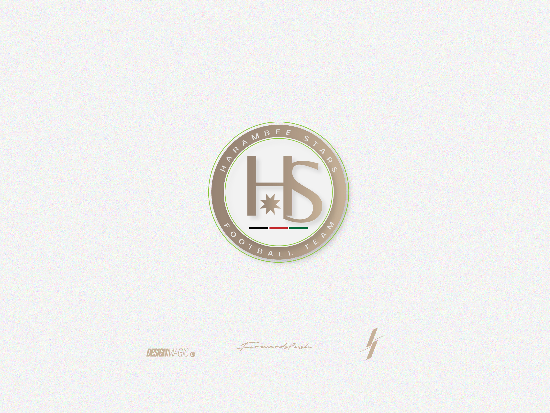 Harambee Stars branding design graphic design icon illustration logo minimal ui ux vector