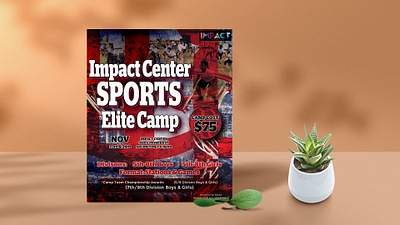 Basketball Camp Social Media Post Design ad advertising banner basketball branding camp clum creative design designer eyecatching flyer graphic design illustration post poster sports ui unique