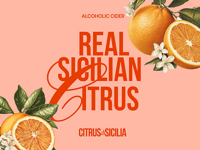 Citrus di Sicilia | Design by Ayelet 3d animation art artwork branding design digital art digital illustration graphic design illustration logo ui