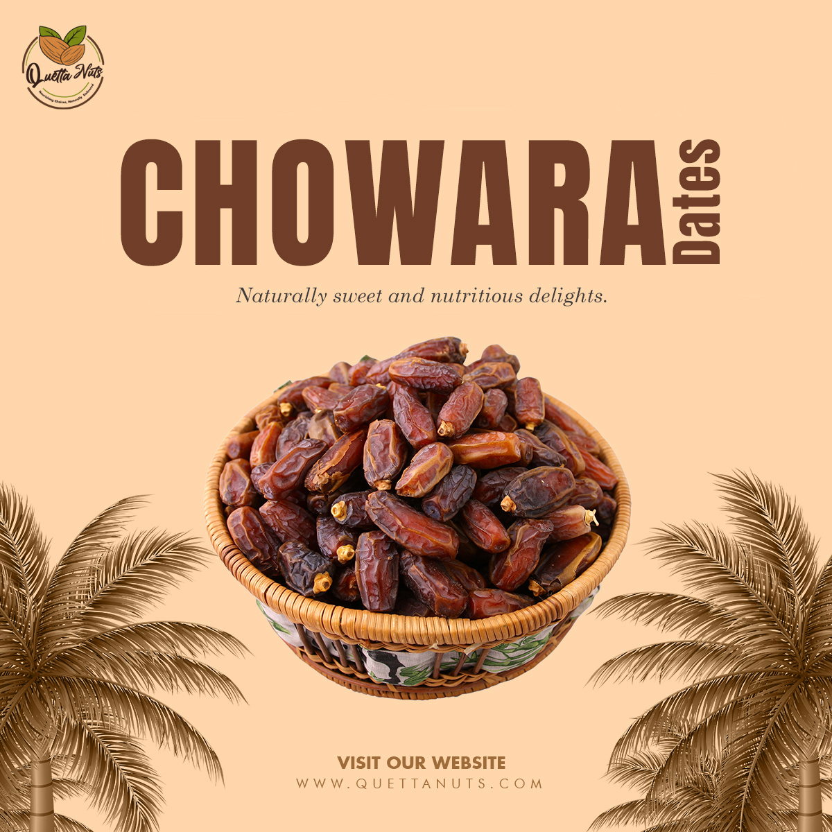 Example of Social Media Post Designs | Quetta Nuts