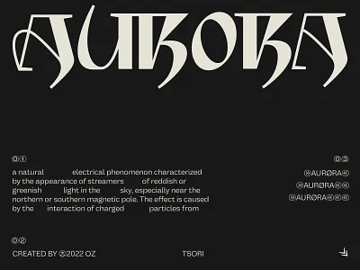 Aurora branding design graphic design illustrator logo logotype minimal serif typography vector