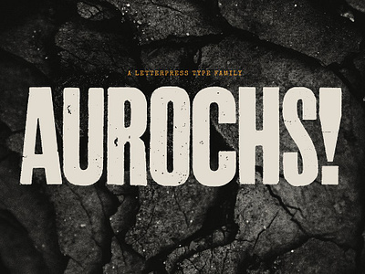 Aurochs letterpress type family aurochs letterpress type family behancegraphic bold branding condensed editorial font fonts freepike handmade letterpress logo poster texture type vintage woff woodblock woodcut