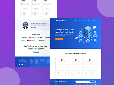 Hosting Website graphic design hosting hosting website hosting website4 ui