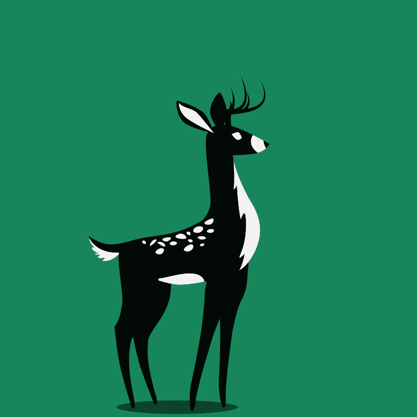 Deer Study animation character design design graphic design illustration moho motion graphics