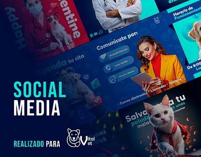 Social Media para Vitalvet brand identity branding design design agency graphic design illustrator logo photoshop social media