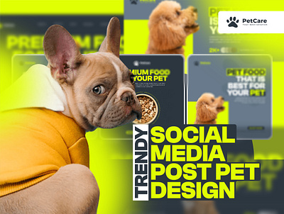 Trendy Social Media Pet Care Post Design Template branding creative design graphic design instagram stories kit minimal pet post post social social media social media design social post design template trendy