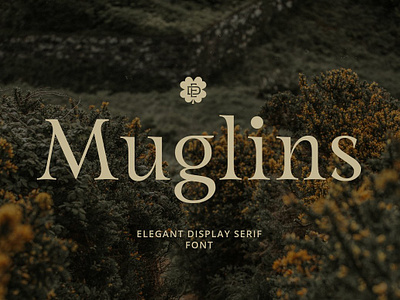 ED Muglins - Serif Display chic classy font ed muglins serif display elegant font fancy luxury modern serif retro retro font typeface typography vintage