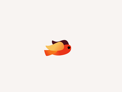 Birdy logo reveal 2d 2d animation after affects animation bird branding character feather illustration kerning kinetic logo morphing motion orange reveal typography