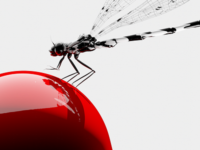 DAMSELFLY 3d animation blender bug cgi design dragonfly